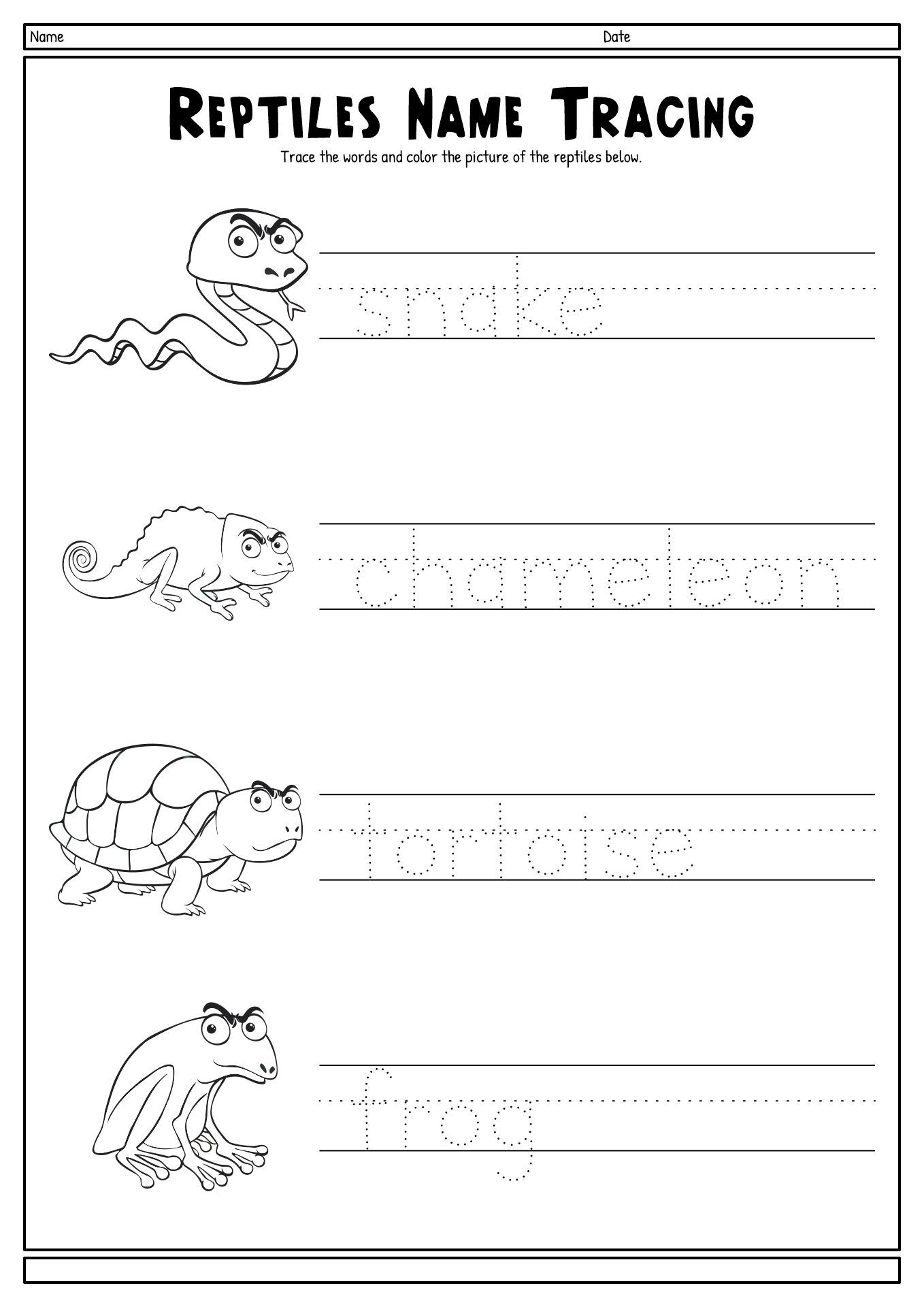 11 Amphibian Worksheets For Kindergarten