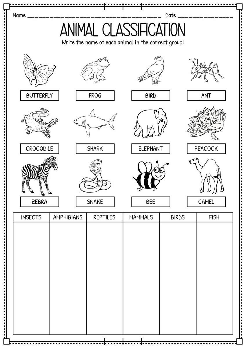 15 Classifying Animals Worksheets Preschool Printable Animal Classification Herbivores Worksheets Activities For Grade 1 Made By Teachers