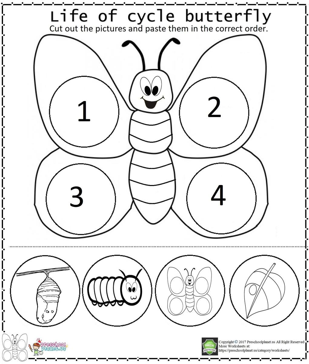 29 Butterflies Kindergarten Ideas In 2025 Butterfly Life Cycle Life Cycles Kindergarten Science