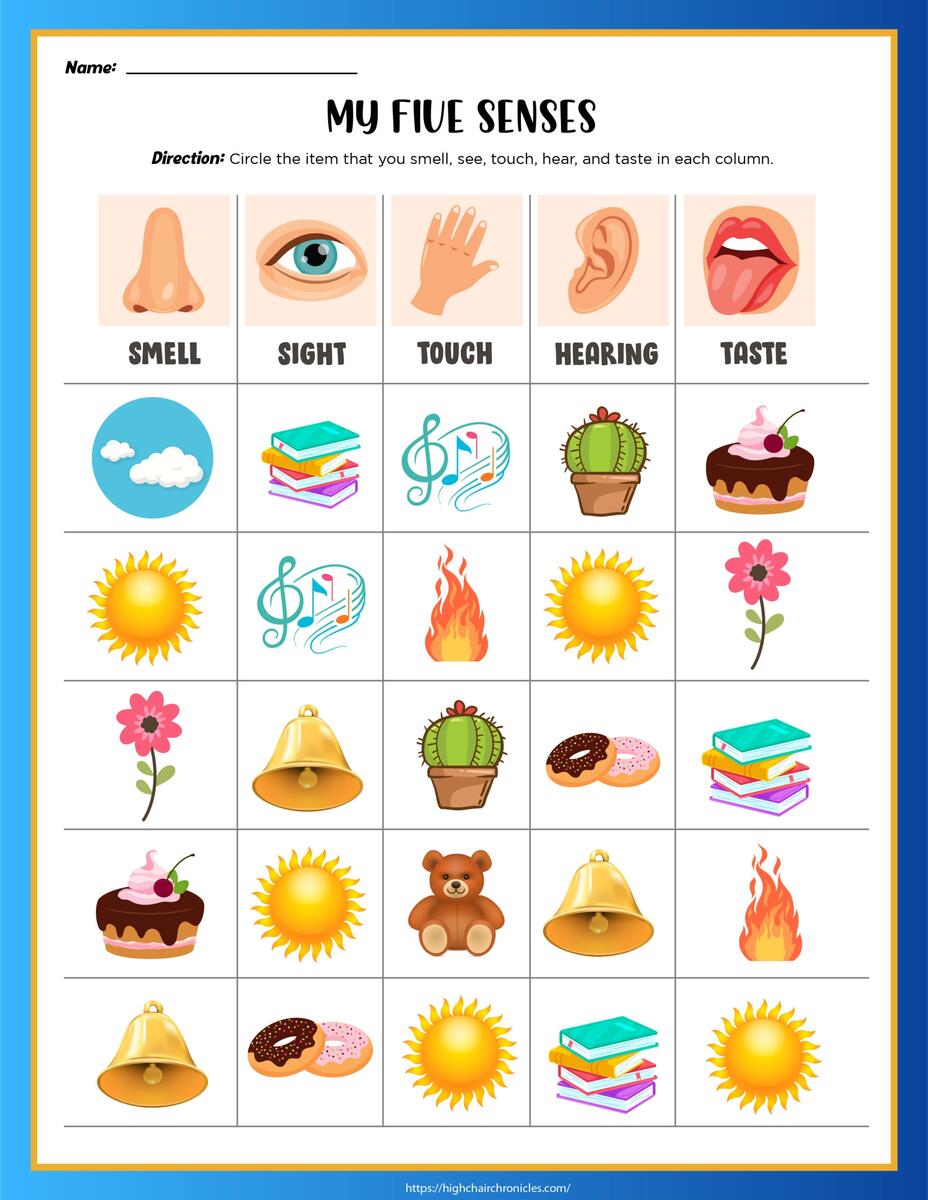 Five Senses Worksheet Free For Kindergarten And Grade 1