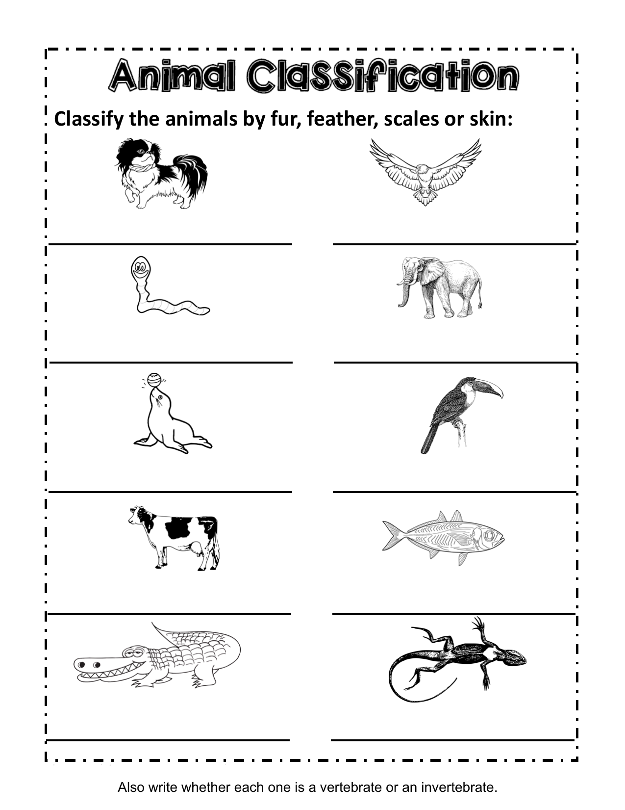 Animal Classification Worksheet Animal Classification Worksheet