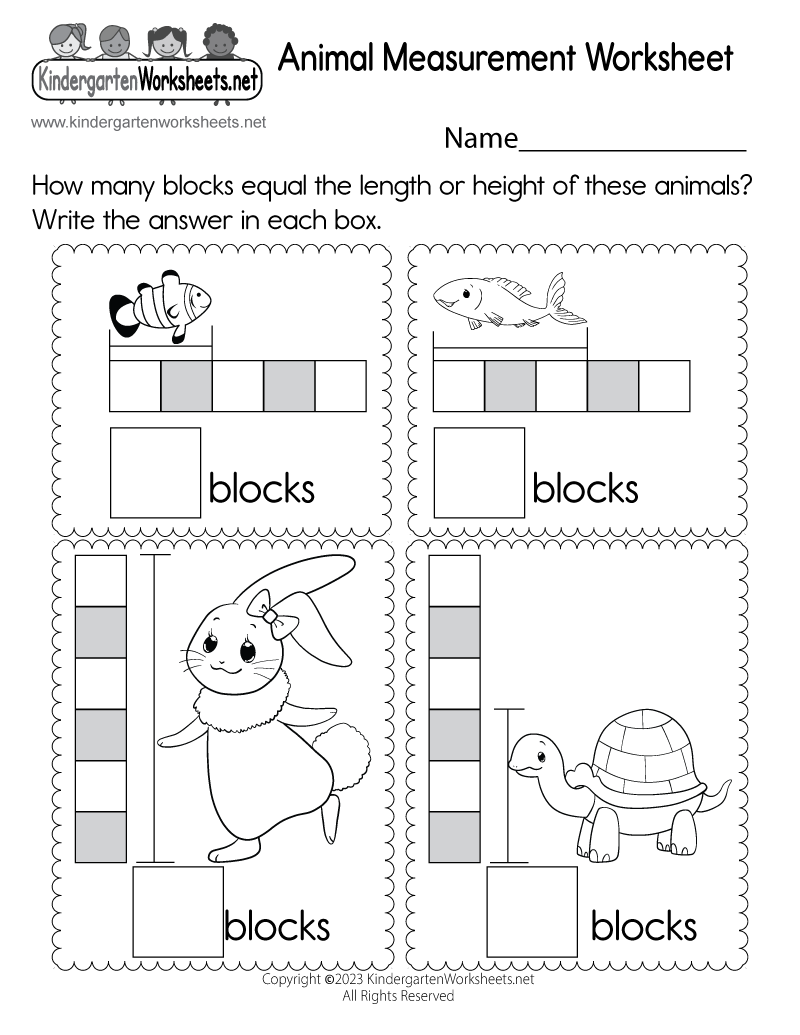 Capacity Worksheet Free Printable Digital PDF