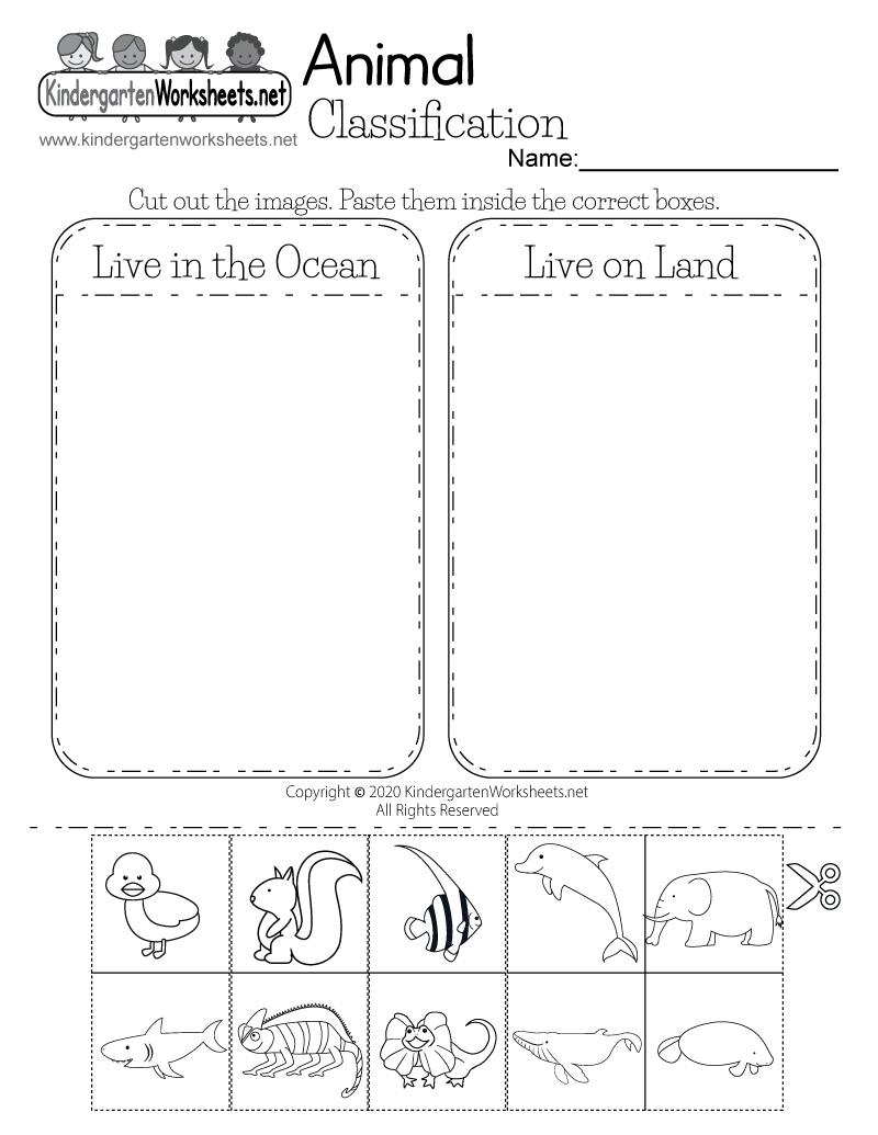 Kindergarten Same Vs Different Objects Worksheet Free Printable PDF