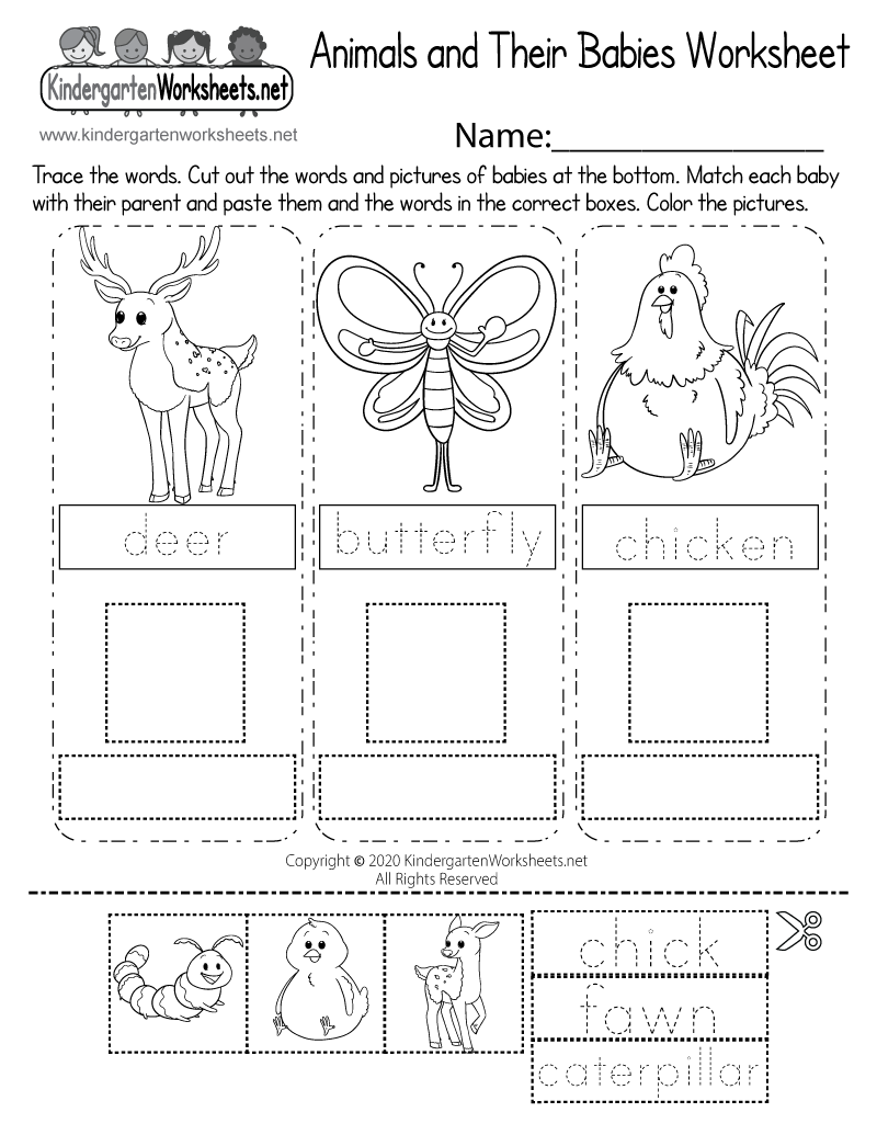 Animals And Their Babies Worksheet Free Printable Digital PDF Animals And Their Babies Worksheet Free Printable Digital PDF