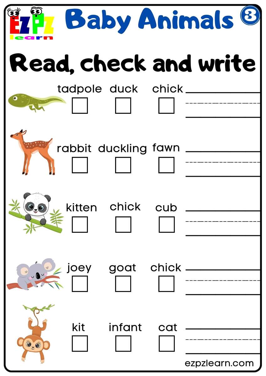 Baby Animals Vocabulary Read Check And Write The Words Activity For English Language Learners Preschool And Kindergarten Students Free Download 3 Ezpzlearn Easter Writing Worksheet Free Printable Digital PDF