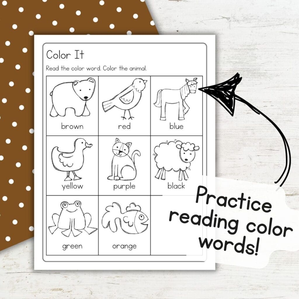 Brown Bear Brown Bear Book Activities For Preschoolers