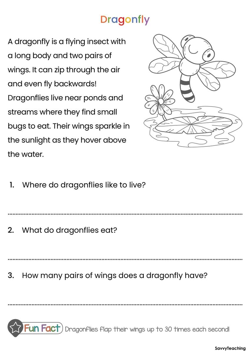 Bugs Insects Reading Comprehension Workbook KS1 Literacy PDF Download Etsy Israel