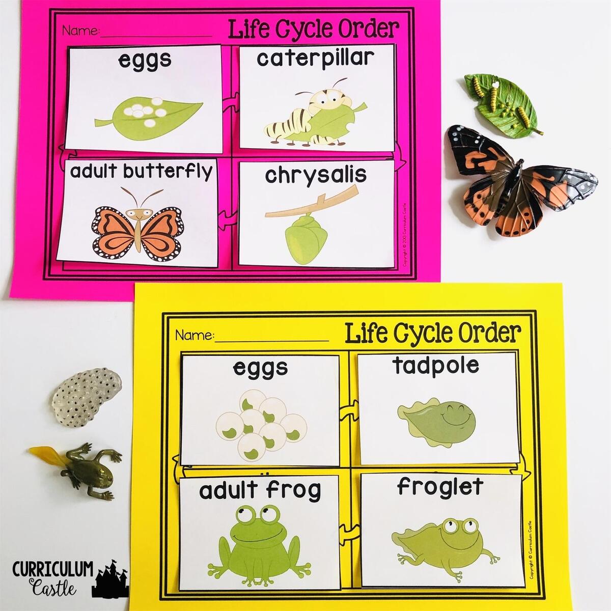 Butterfly Frog Life Cycle Sequencing Cards FREE CURRICULUM CASTLE
