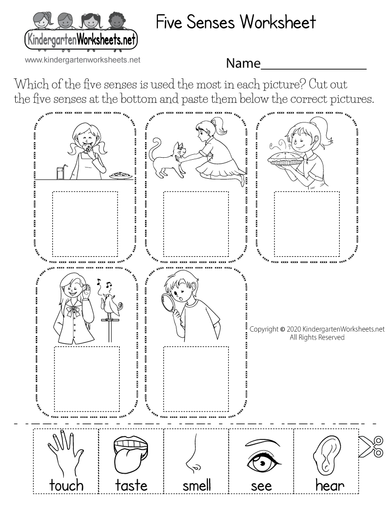 Cut And Paste Five Senses Worksheet Free Printable Digital PDF Science Tools Cut And Paste Worksheet Sort Lab Equipment PDF Digital Download Science Instrument Recognization 1st Grade Science Etsy