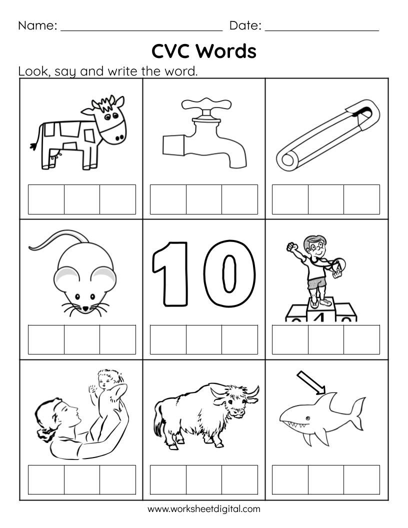 CVC Words Read Write And Color Worksheets