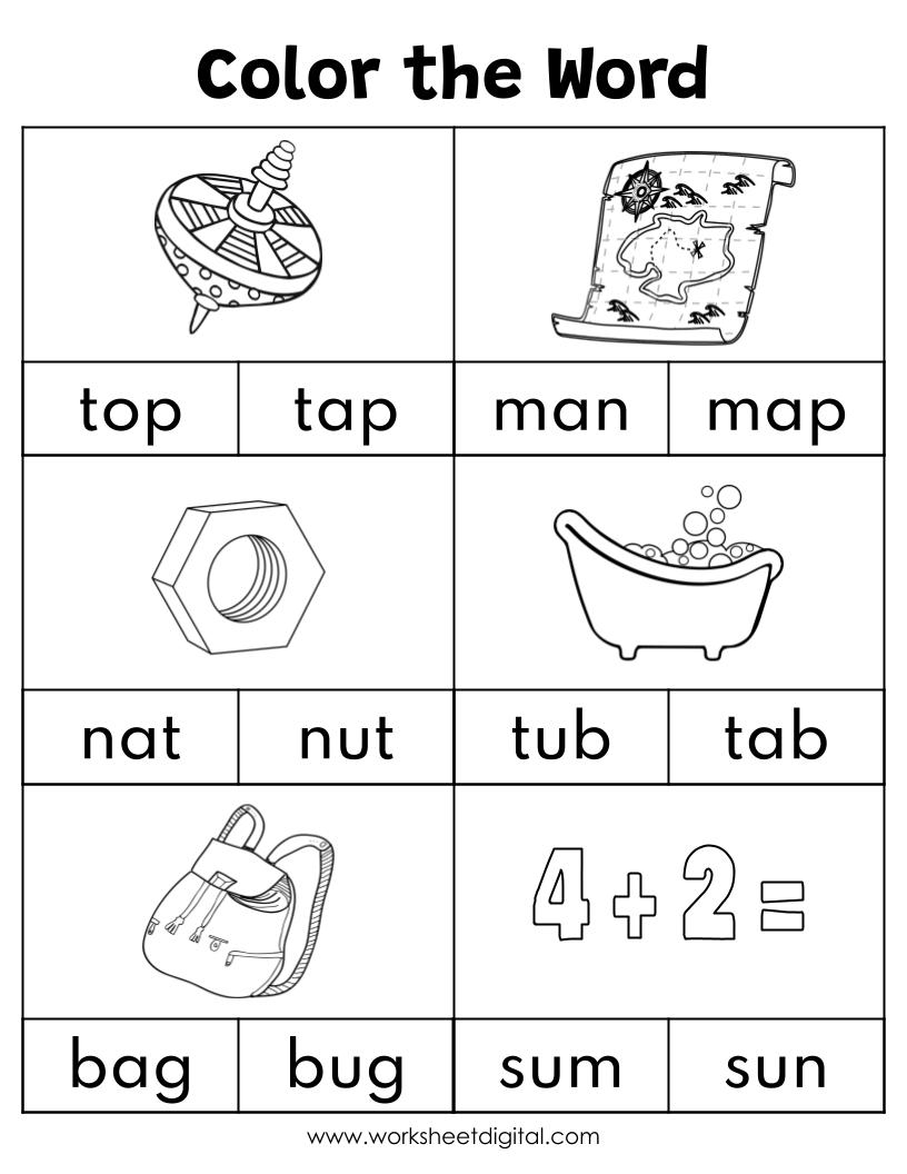 CVC Words Say And Write The CVC Words Phonics Worksheets Kindergarten Preschool Homeschool Made By Teachers