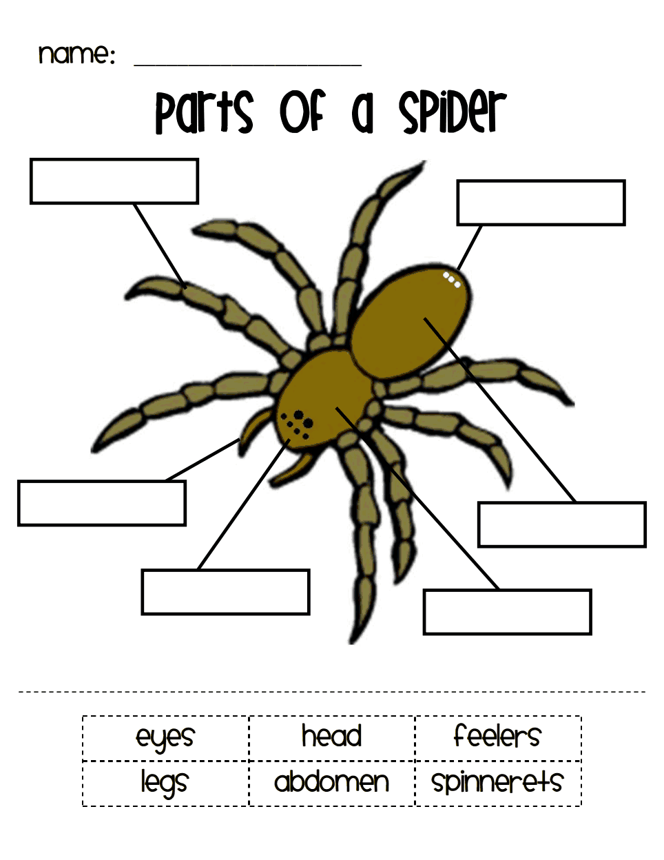 Discover 26 Booklet On Spiders And Spider Activities Ideas Spider Theme Spider Unit Spider Fact And More