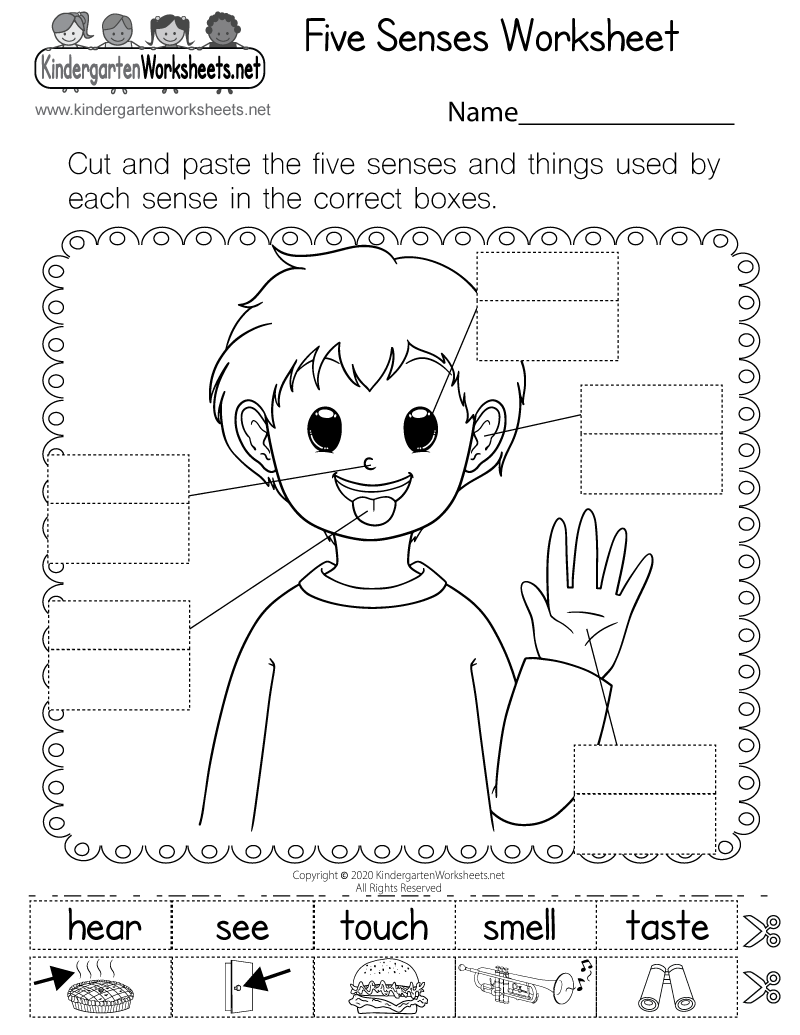Cut And Paste Five Senses Worksheet Free Printable Digital PDF