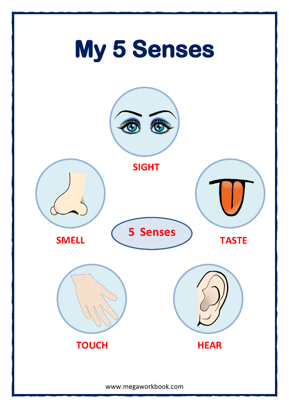 Five Senses Worksheets For Preschool And Kindergarten MegaWorkbook Five Senses Worksheets For Preschool And Kindergarten MegaWorkbook