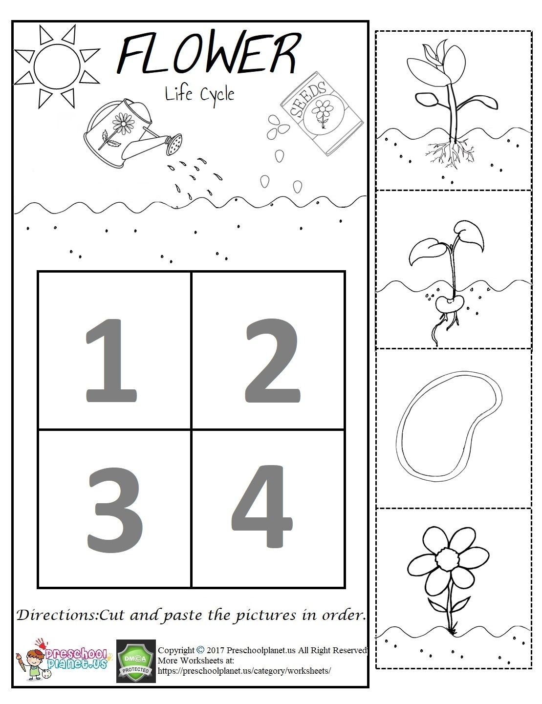Flower Life Cycle Worksheet Flower Life Cycle Worksheet