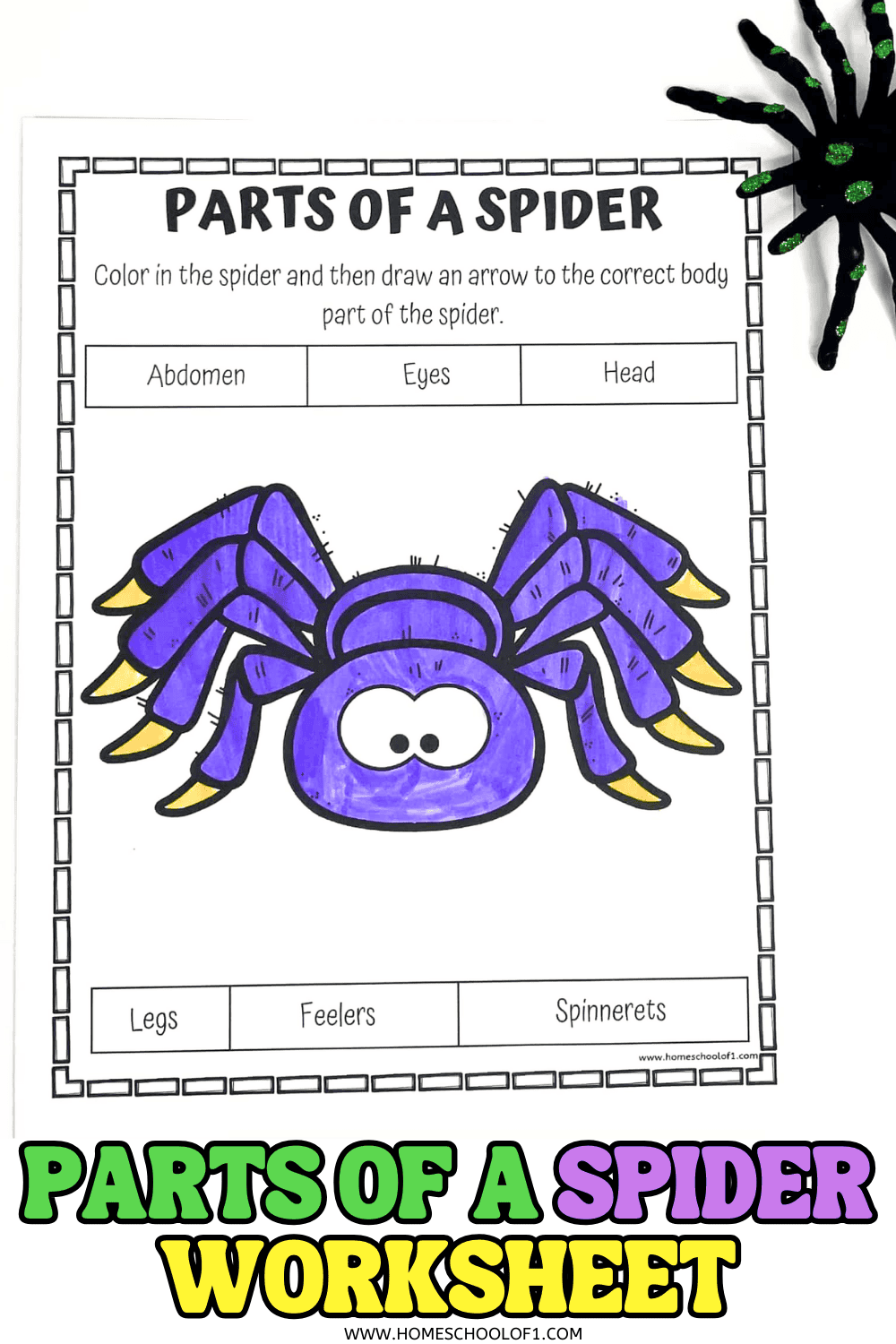Spiders Spiderlife Cycle Instant Download Digital Download Kids Worksheet STEM Kid S Workbook Etsy