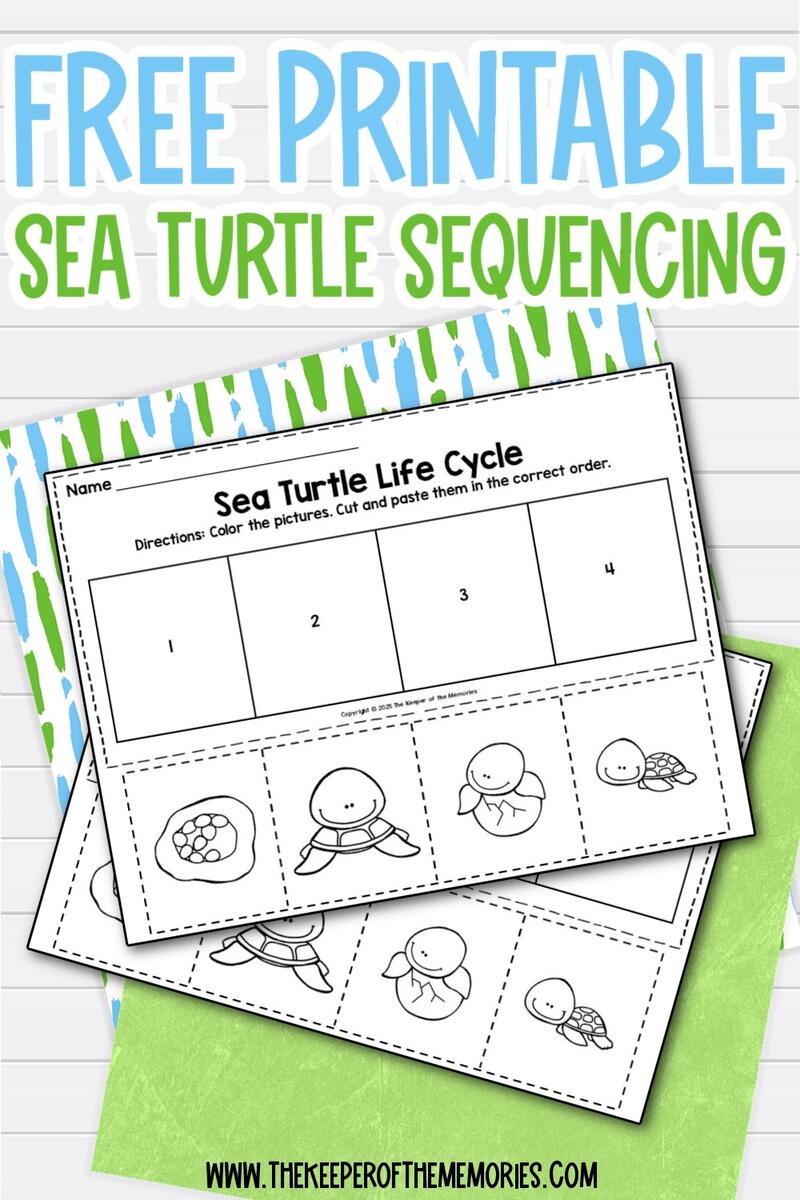 Free Printable Sea Turtle Life Cycle Sequencing Worksheets Perfect For Your Summer Ocean Theme The Keeper Of The Memories