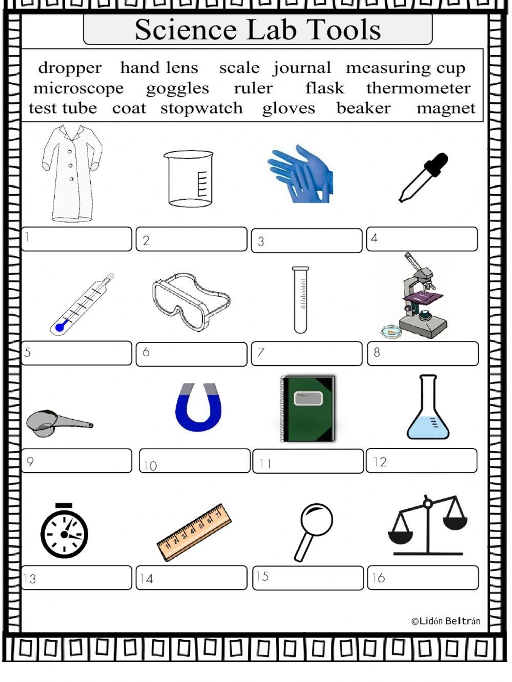 Science Tools Cut And Paste Worksheet Sort Lab Equipment PDF Digital Download Science Instrument Recognization 1st Grade Science Etsy