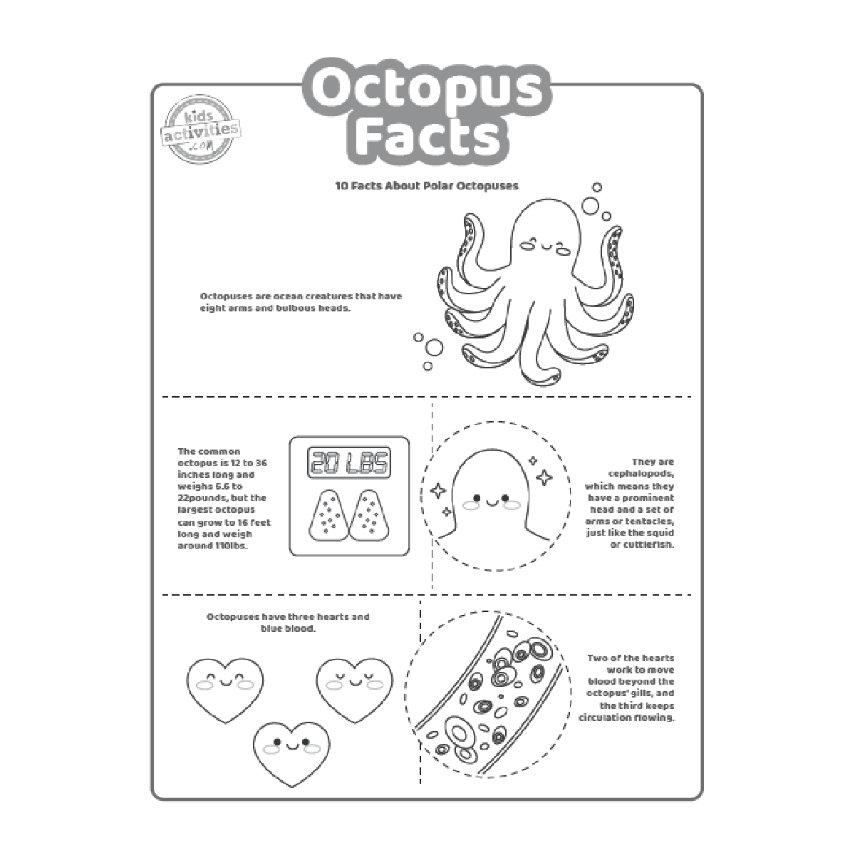 Fun Octopus Facts For Kids To Print And Learn Kids Activities Blog Fun Octopus Facts For Kids To Print And Learn Kids Activities Blog