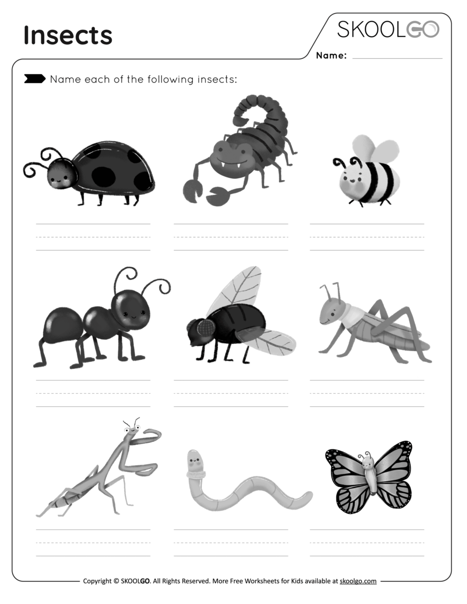 Group 1 Insects And Bugs Read And Choose Worksheet Free PDF Download For Teachers And Parents Ezpzlearn