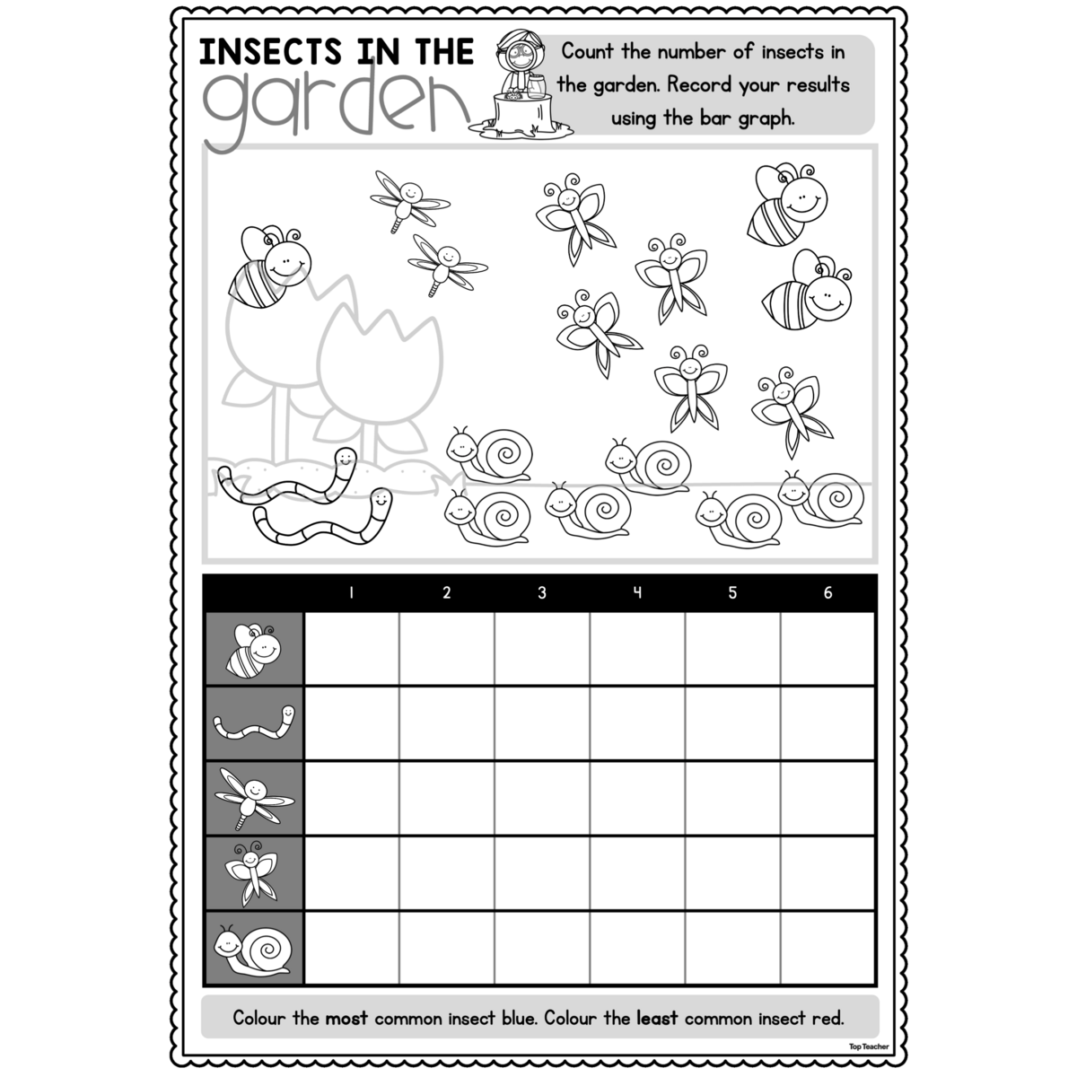 Insects In The Garden Data Collection Graphing Activity Top Teacher Insects In The Garden Data Collection Graphing Activity Top Teacher