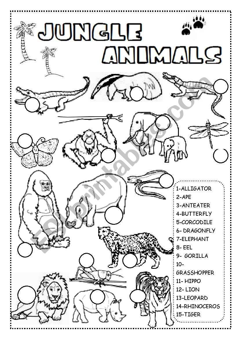 JUNGLE ANIMALS WORKSHEET ESL Worksheet By INETA Wild Animals Free Worksheet SKOOLGO
