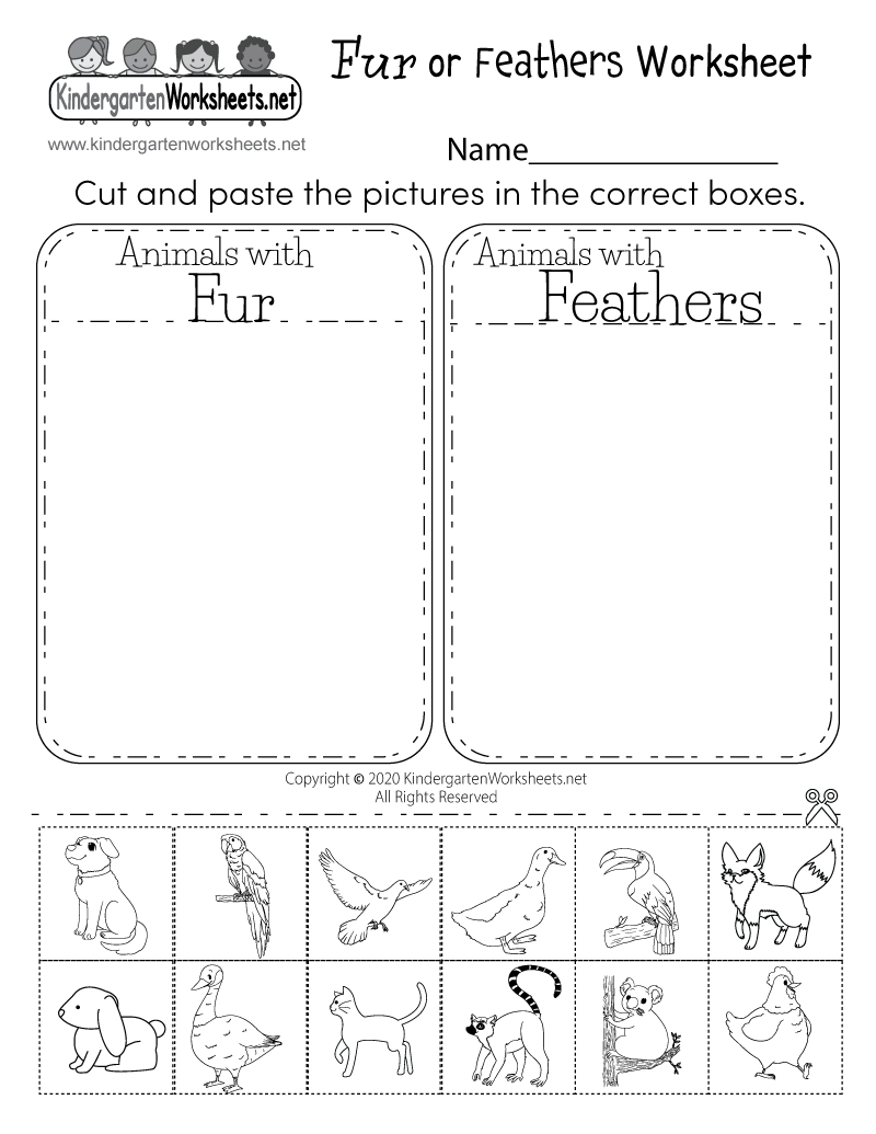Kids Can Learn About The Body Coverings Of Animals With This Free Cut And Paste Worksheet Https T Co XQiLb4rDqM Science Kids Can Learn About The Body Coverings Of Animals With This Free Cut And Paste Worksheet Https T Co XQiLb4rDqM Science