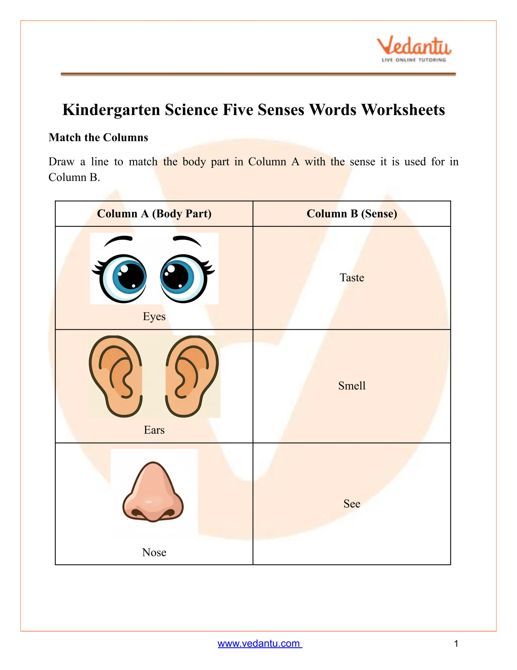 Kindergarten Five Senses Words Worksheet Free PDF