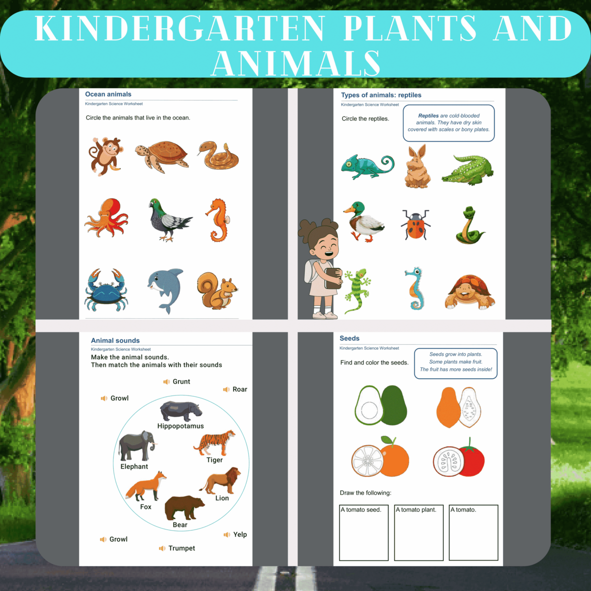 Kindergarten Plants And Animals Worksheets Made By Teachers Kindergarten Plants And Animals Worksheets Made By Teachers