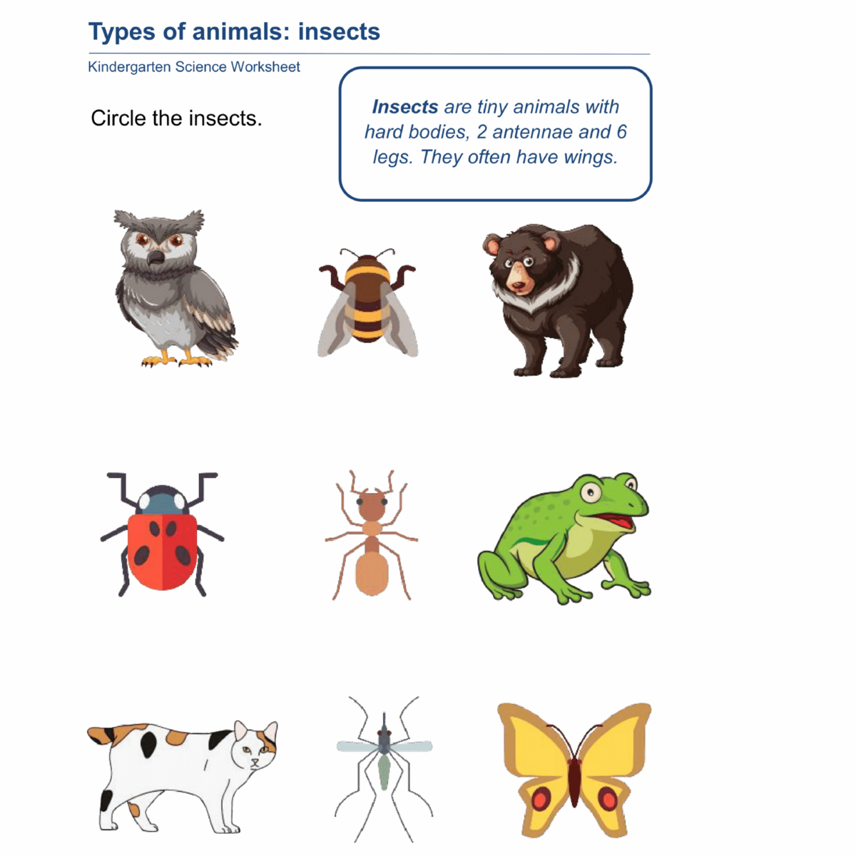Kindergarten Plants And Animals Worksheets Made By Teachers Kindergarten Plants And Animals Worksheets Made By Teachers