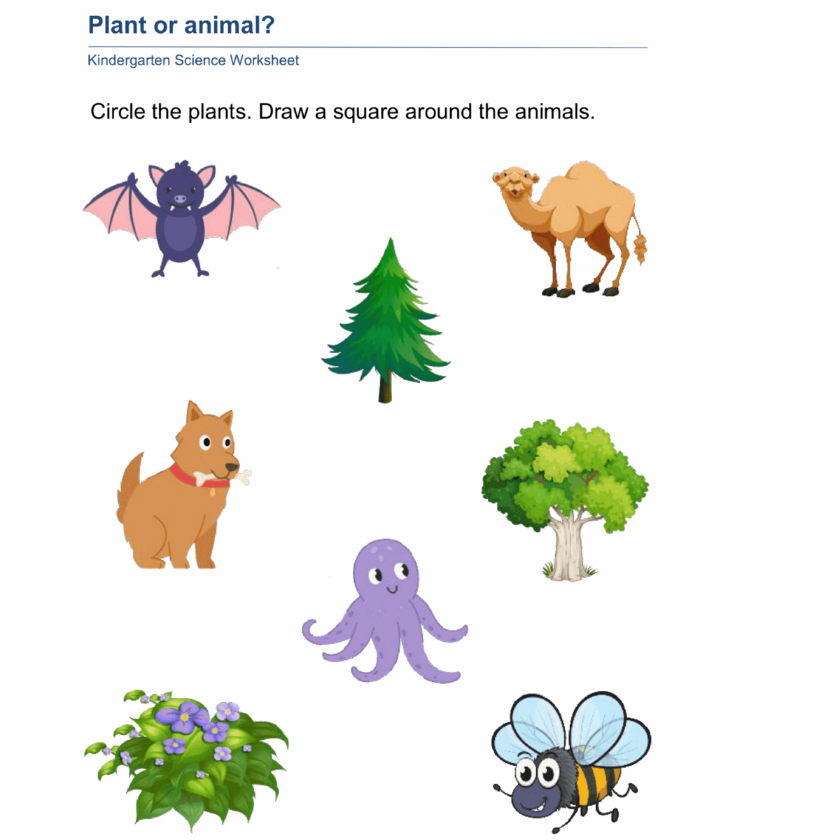 Kindergarten Plants And Animals Worksheets Made By Teachers