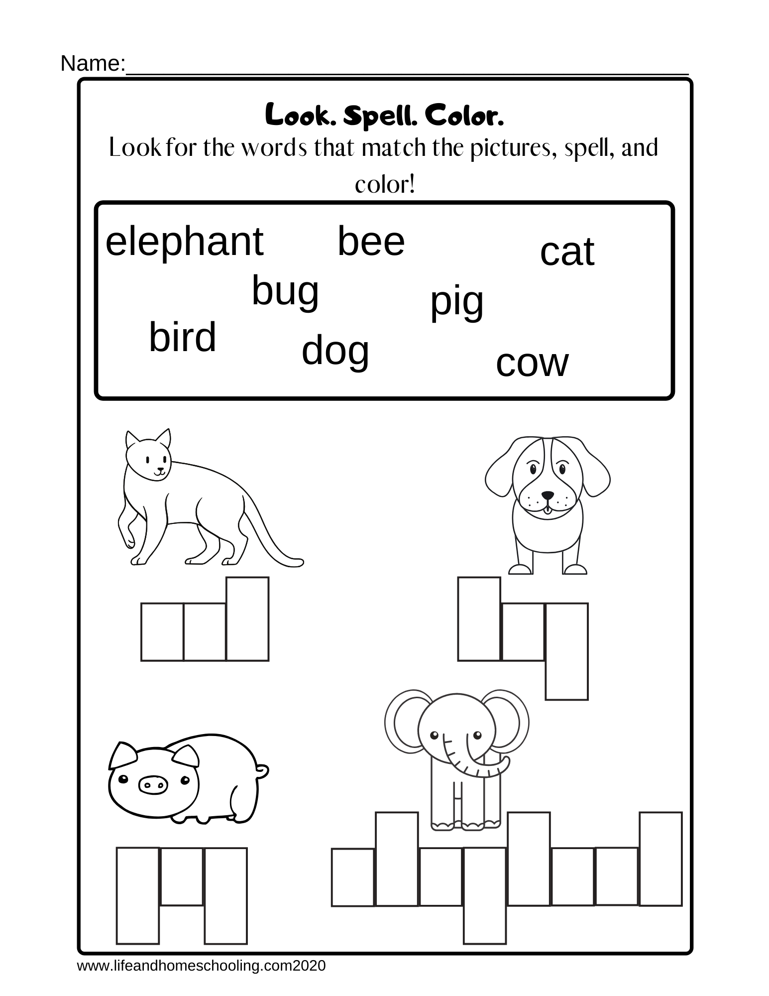 Spelling Test Template Worksheet