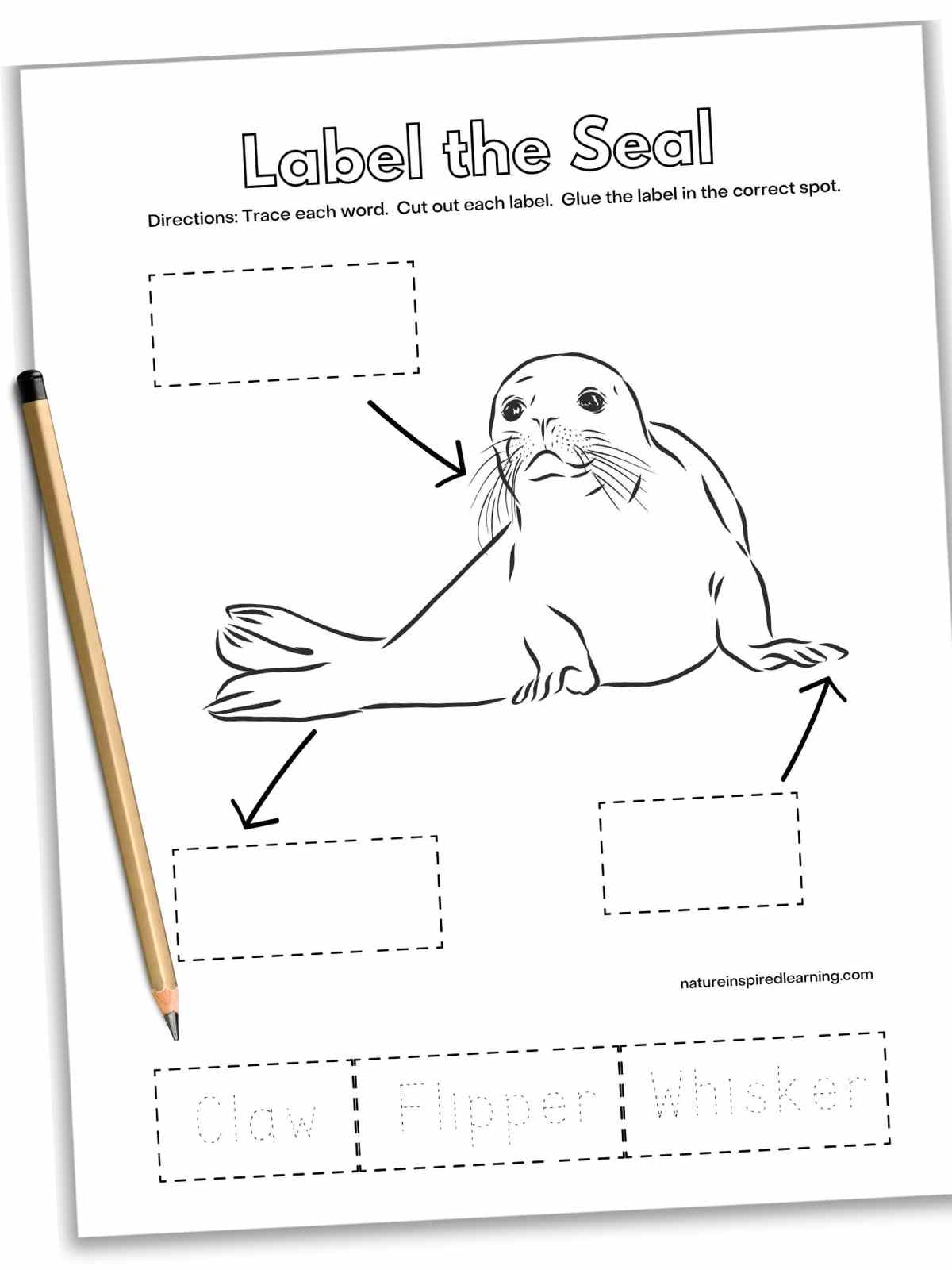 Label The Arctic Animal Worksheets Nature Inspired Learning