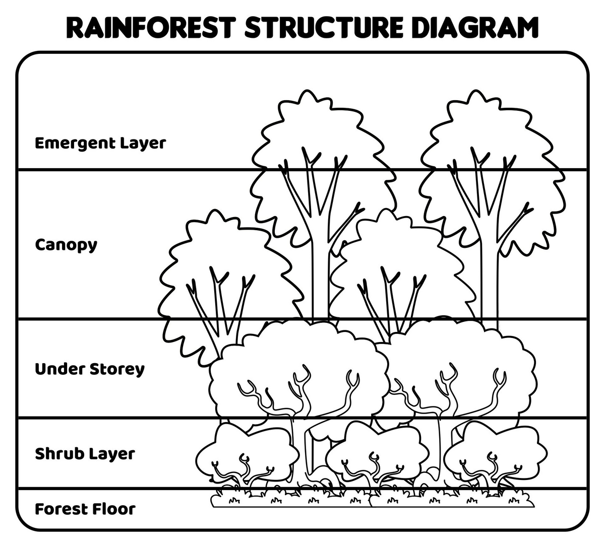 Layers Of The Rainforest Free Printable Rainforest Animals Layers Activity Educational Printable PDF Etsy