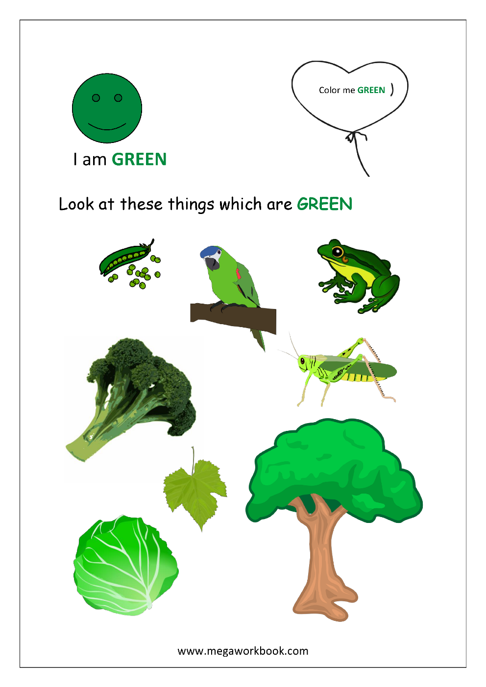 Learn Colors Learn Colors For Kids Learning Colors For Toddlers Baby MegaWorkbook