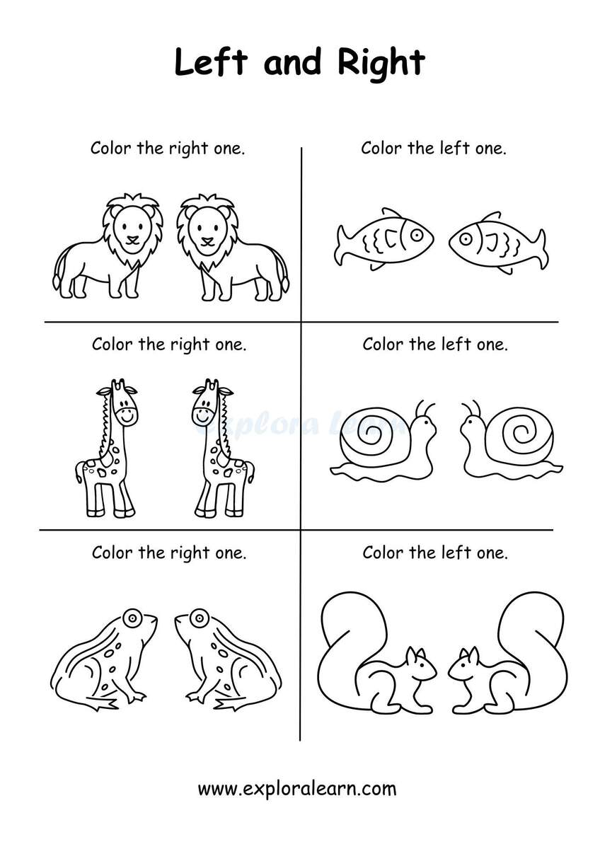 Left And Right Comparison Worksheets For Preschool And Kindergarten 2 To 6 Years Kids