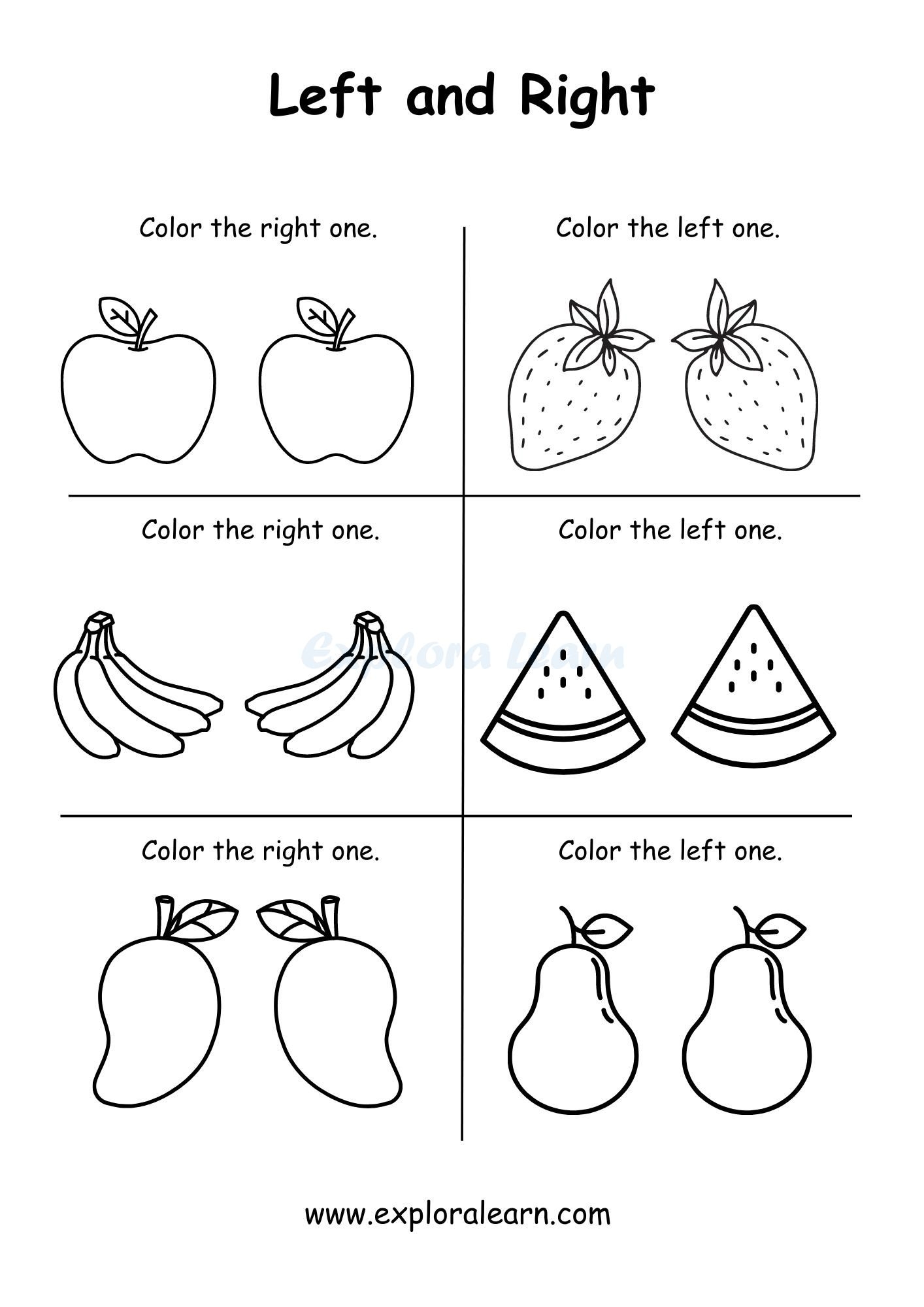 Left And Right Comparison Worksheets For Preschool And Kindergarten 2 To 6 Years Kids Left And Right Comparison Worksheets For Preschool And Kindergarten 2 To 6 Years Kids