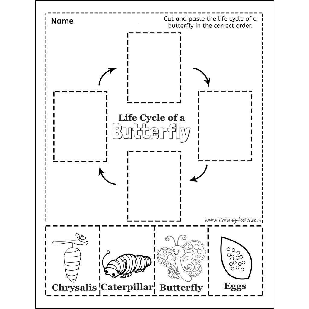 Butterfly Life Cycle Coloring Page Printable Life Cycle Of A Butterfly Activities Life Cycles Butterfly Activities Monarch Etsy