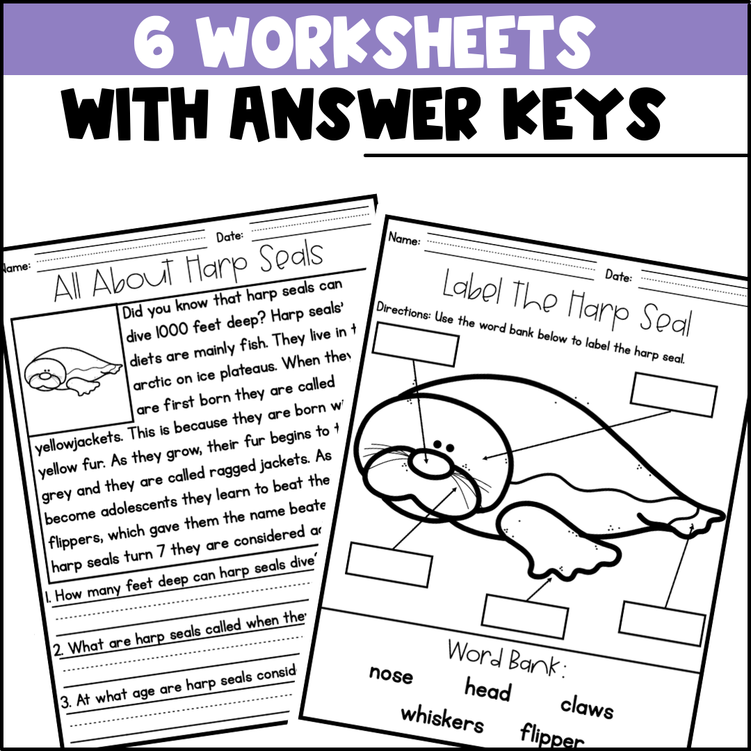 Life Cycle Of A Harp Seal Activities Worksheets Booklet Harp Seal Life Cycle Made By Teachers
