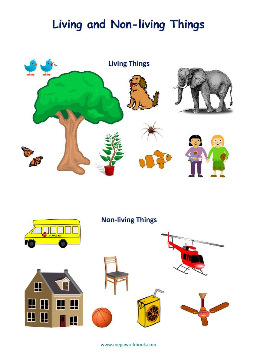 Living And Non Living Printable Preschool Activities Kindergarten Readiness PDF Digital Download Etsy