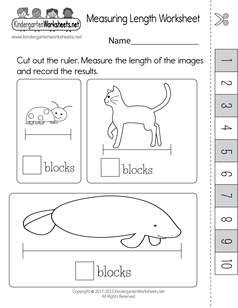 Measuring Length Worksheet Free Printable Digital PDF