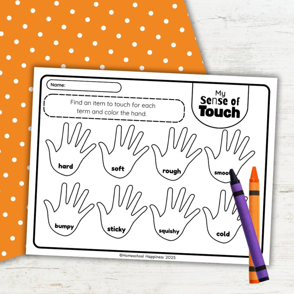 My Sense Of Touch Worksheet Free Printable For Kids My Sense Of Touch Worksheet Free Printable For Kids