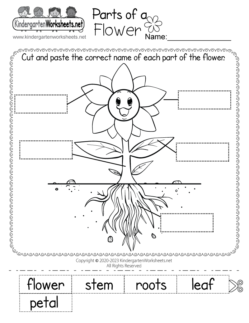 Living And Nonliving Things Worksheet Free Printable Digital PDF