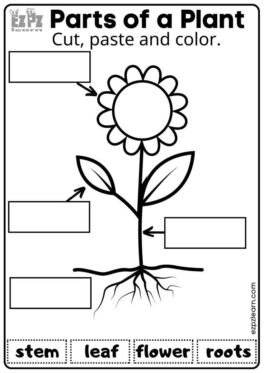 Parts Of A Plant Vocabulary Worksheet Cut Paste And Color Activity For Kindergarten K5 And ESL Students Free Printable PDF Download Ezpzlearn Parts Of A Plant Read And Choose Worksheet For Kindergarten Or ESL Students Free Printable PDF Download Ezpzlearn