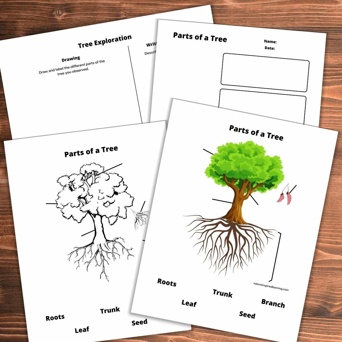 Free Preschool Tree Spelling Worksheet