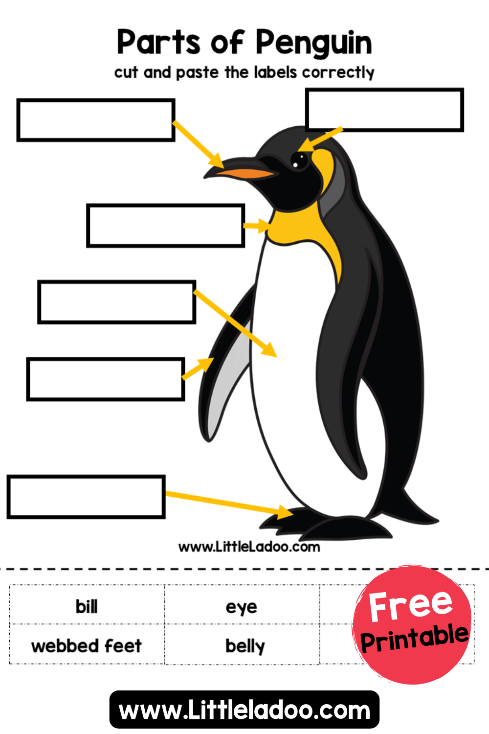 Parts Of Penguin Worksheets Free Printable Parts Of Penguin Worksheets Free Printable