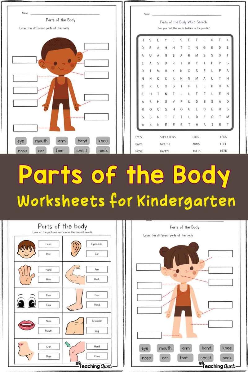 Parts Of The Body Worksheets The Teaching Aunt Free Printable Body Parts Game Worksheet