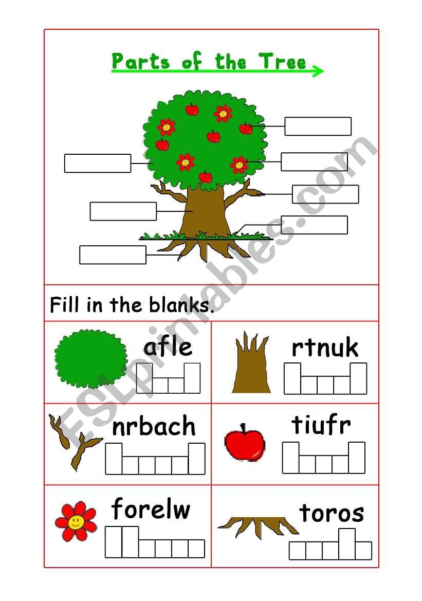 Parts Of The Tree ESL Worksheet By Viamail Parts Of The Tree ESL Worksheet By Viamail