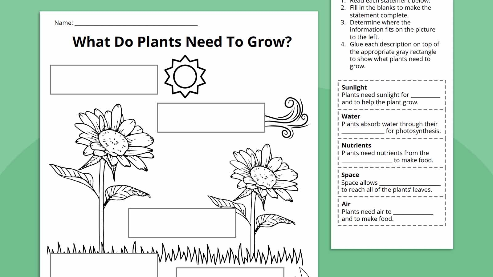 Plant Life Cycle Worksheet Bundle Free Printables Plant Life Cycle Worksheet Bundle Free Printables