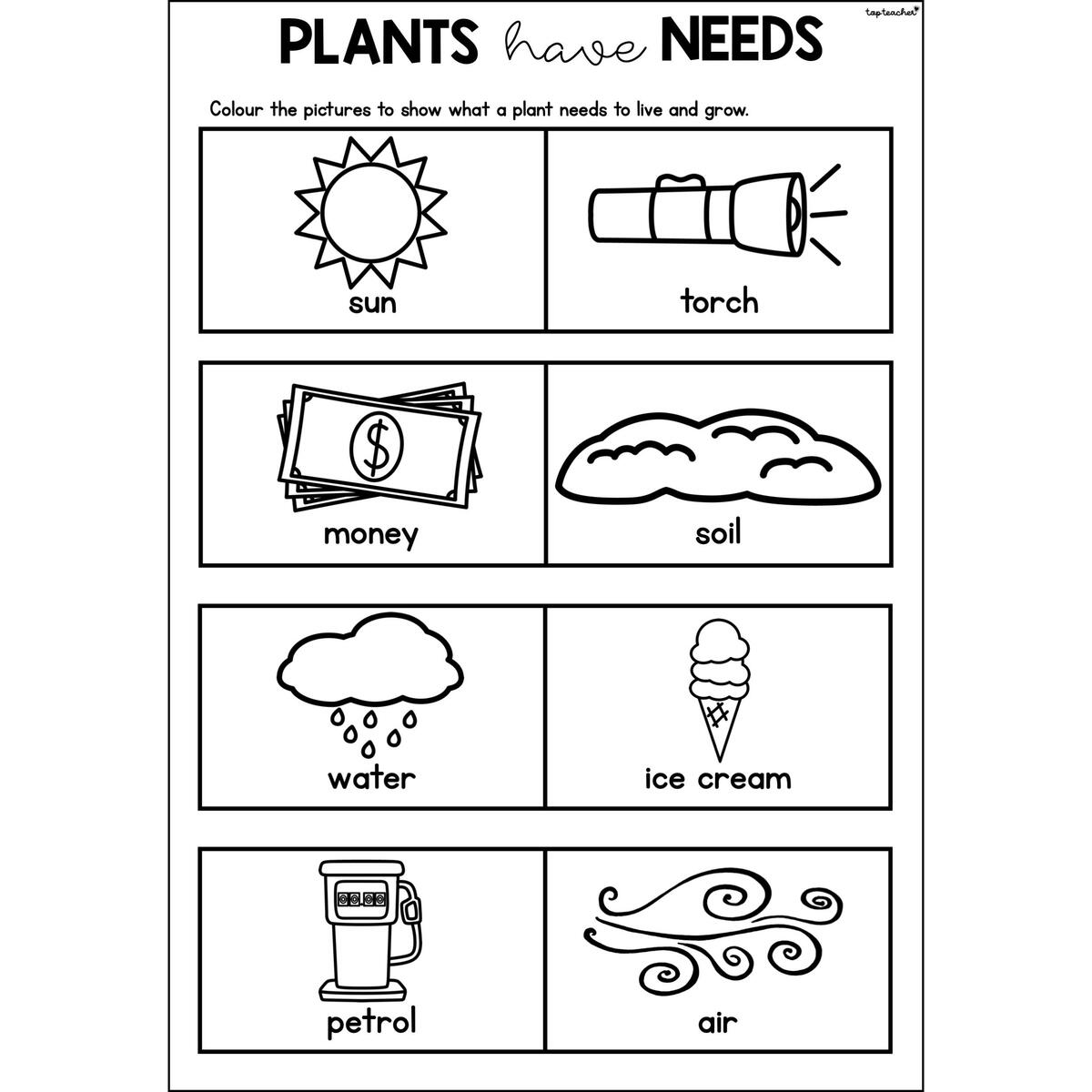 Plants Have Needs Top Teacher